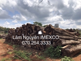 Gỗ Muồng đen